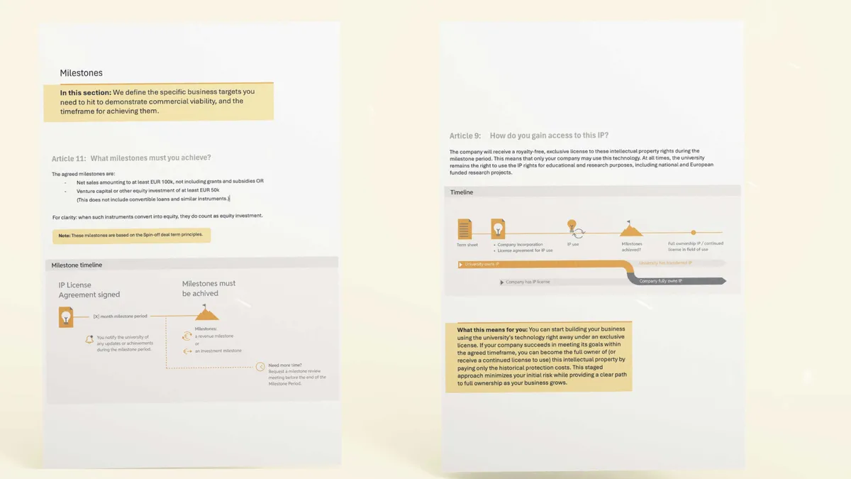 Termsheet template with visual explanation of clauses