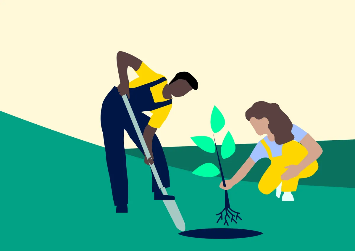 Overzicht van de duurzame bepalingen